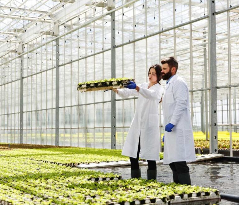 Producción vegetal eficiente: innovación y sostenibilidad