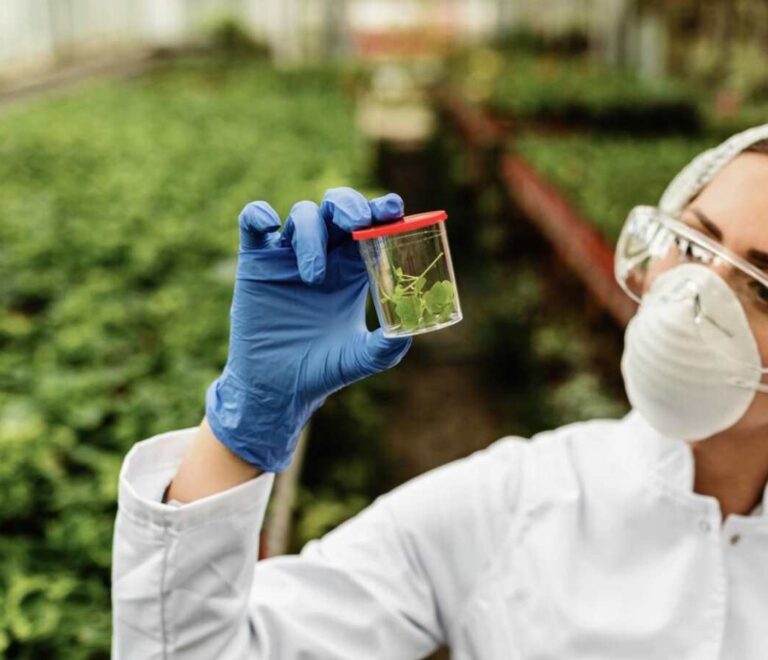 Reducir impacto ambiental con biotecnología avanzada in vitro
