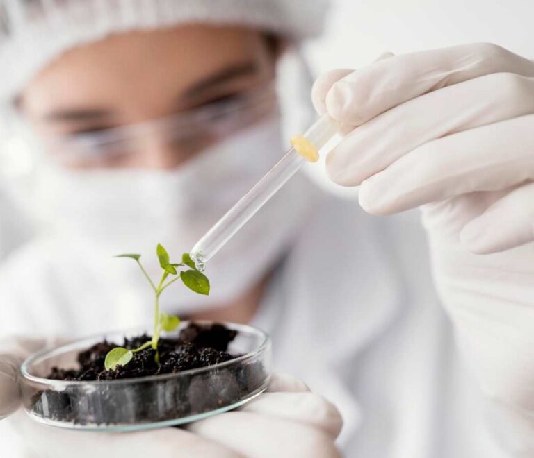 Cómo optimizar recursos naturales en la biotecnología